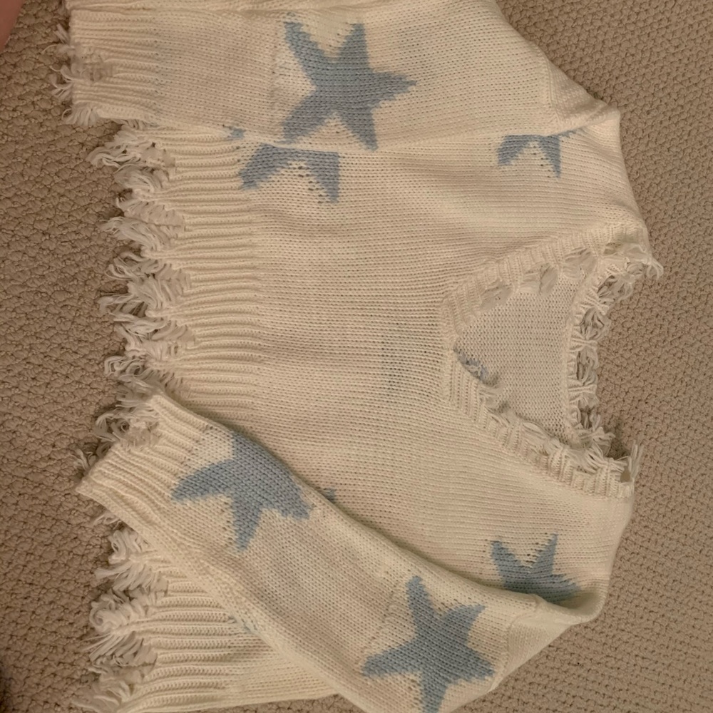 Lizard Thicket Cropped Distressed Sweater